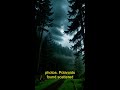 Bhootvaas Jungle: Raat Ki Shidhhi #shorts #paranormal