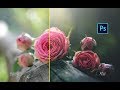 Photoshop: How To Edit Macro Photography in Photoshop CC
