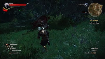 The Witcher 3 - Fiend Ragdoll Collision Bug
