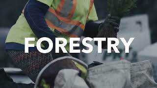 Forestry For The Future