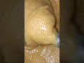 বোর্ডের হালুয়া