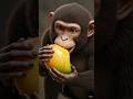 शरारती बंदर 🐒 | #cartoon #viral #trending #shorts #shortvideo #youtubeshorts #toonighar