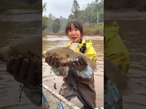 শস্য ক্ষেতের ভেতর পুকুরের সন্ধান পেয়ে ধরেছি ব্রিগেড কাপ মাছ ও অন্যান্য মাছ #shorts