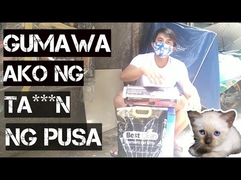 Video: Paano Gumawa Ng Isang DIY Cat Litter Box