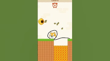 How to complete save the dog