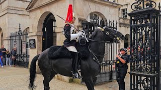 POLICE AND GUARD ARE SHOCKED WHEN THE HORSE has enough and wanders off at Horse Guards! by London City Walks 27,164 views 12 days ago 1 hour, 8 minutes