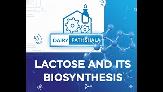 Lactose -Milk Sugar | Lactose Chemical Structure  &amp; Biosynthesis | Dairy Pathshala