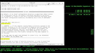 How To Install and Configure Redis Data structure store Software on CentOS 7