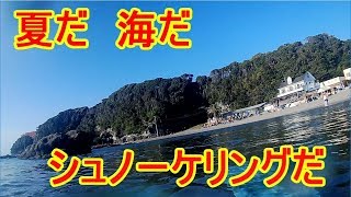 509 801 夏だ！　海だ！　シュノーケリングだ！　in油壷