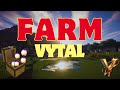 On construit une norme farm sur vytal 