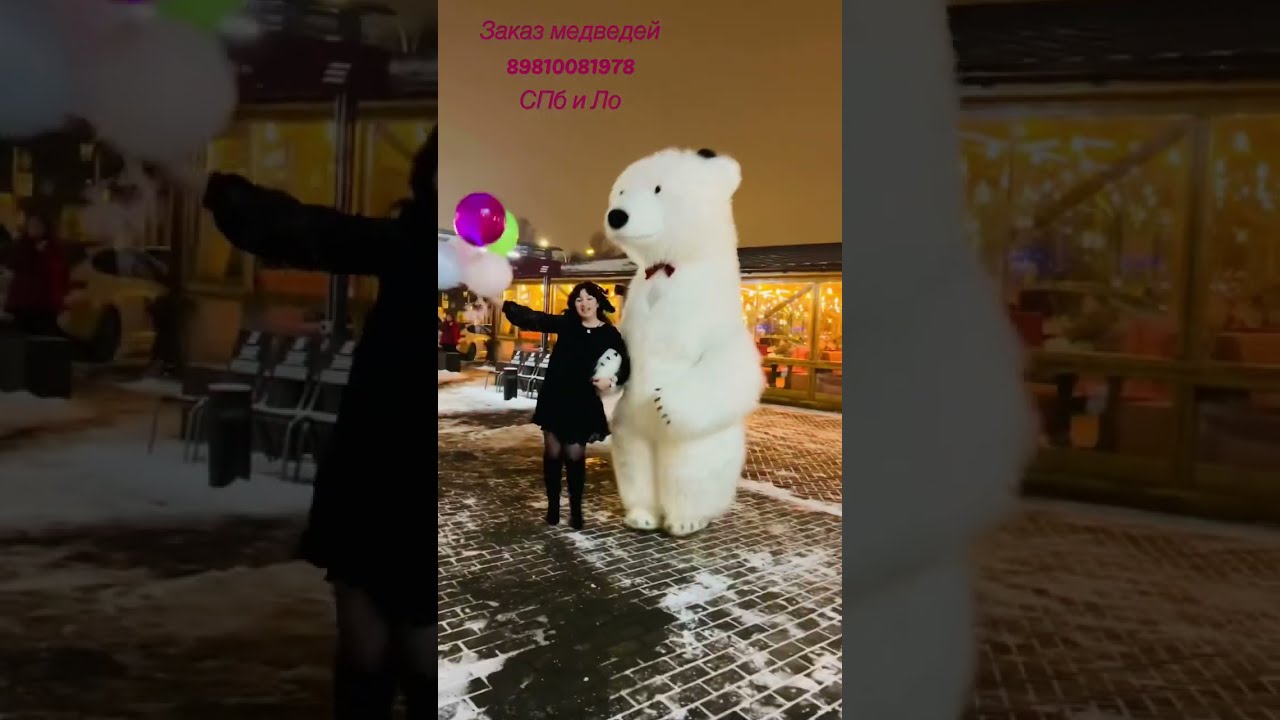 Купить Большого Медведя Спб
