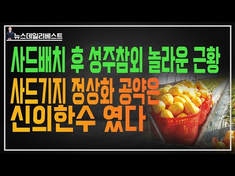 <strong>사드</strong> <strong>배치</strong> 후 통계자료 집중분석해보니…