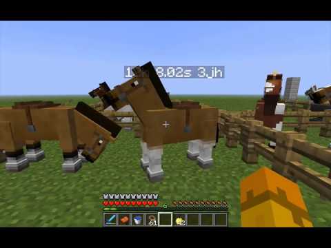 SUPER HORSES & IS THE WIKI WRONG? Minecraft Horse Testing Pt.2 - YouTube