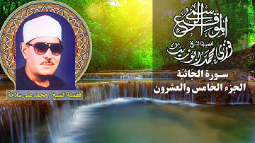 سورة الجاثية _ الجزء الخامس والعشرون