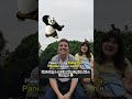 She's Only 6 and Speaking English with a Stranger #Overseas #ForeignersInChina #Foreigners