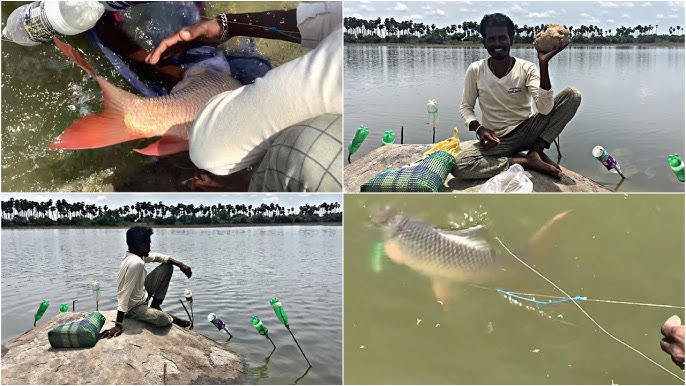 💯Sure👍Best Feeder Popup Ball set, Feeder for Big Fish, Fishing  techniques