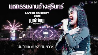 ฟังต้อนรับปีใหม่ 2024 คอนเสิร์ต เนสกาแฟ_ศรีนคร 【LIVECONCERT】 @มหกรรมงานช้างสุรินทร์