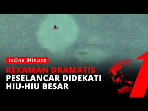 Video: AS Menyelidiki Kematian Paus Besar-besaran Di Sepanjang Pantai Alaska - Pandangan Alternatif