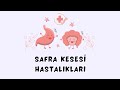 Safra Kesesi Hastalıkları