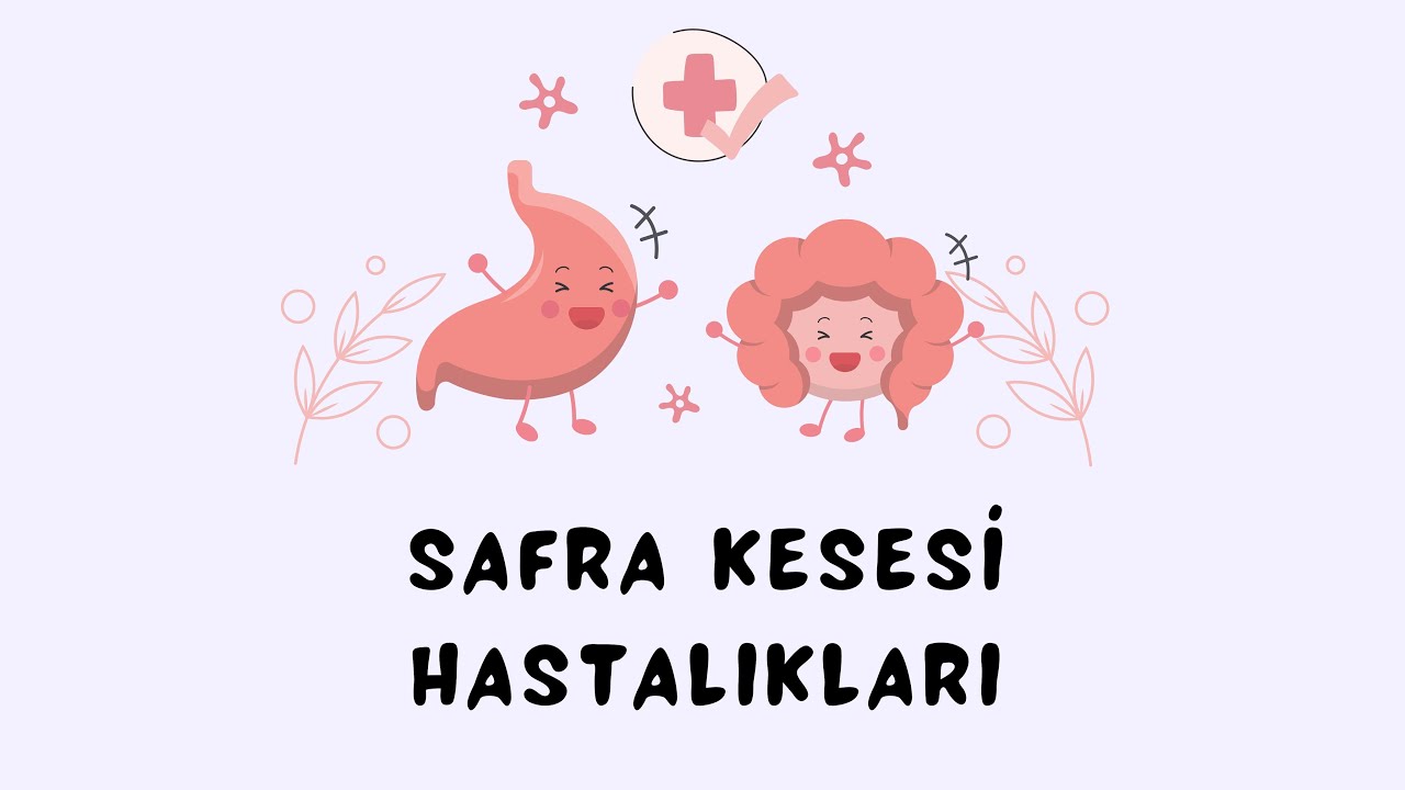 Safra Kesesi Hastalıkları YouTube Safra Kesesi Hastalıkları YouTube