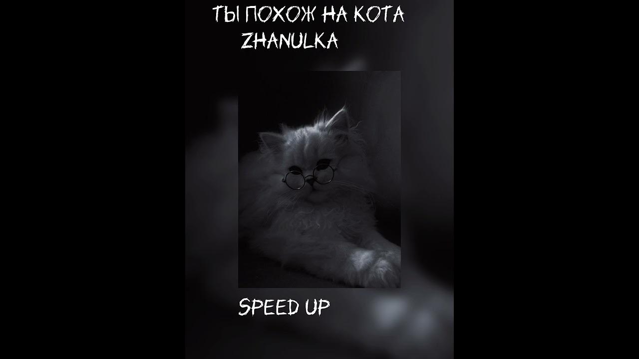 Котик speed up. Котик speed up