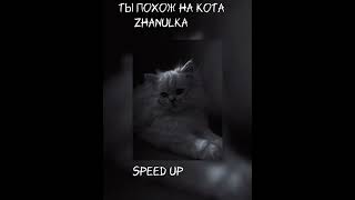 ты похож на кота -zhanulka speed up