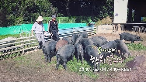 180210 다큐공감 예고 ㅣ KBS방송