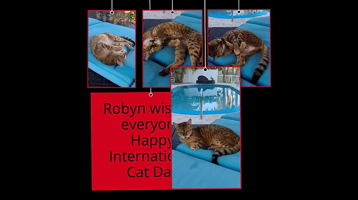 Robyn wishing everyone Happy International Cat Day