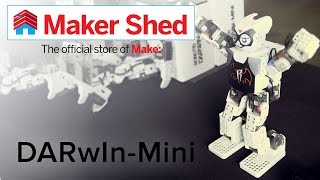 DARwIn-Mini