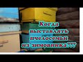 КАК И КОГДА ВЫСТАВЛЯТЬ ПЧЕЛОСЕМЬИ ИЗ ЗИМОВНИКА??