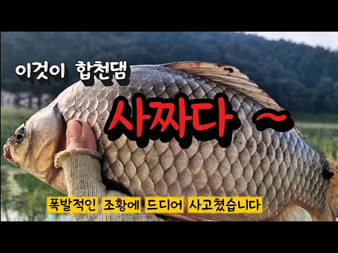 이것이 합천댐 사짜다~