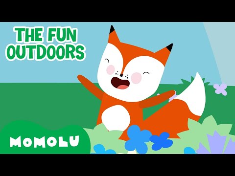 Momolu - The Fun Outdoors 🌳☀️ | Earth Day | 20+ MINS | Momolu and Friends | @MomoluOfficial