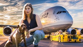 I Packed Up My Life and Moved To Europe With My Dog