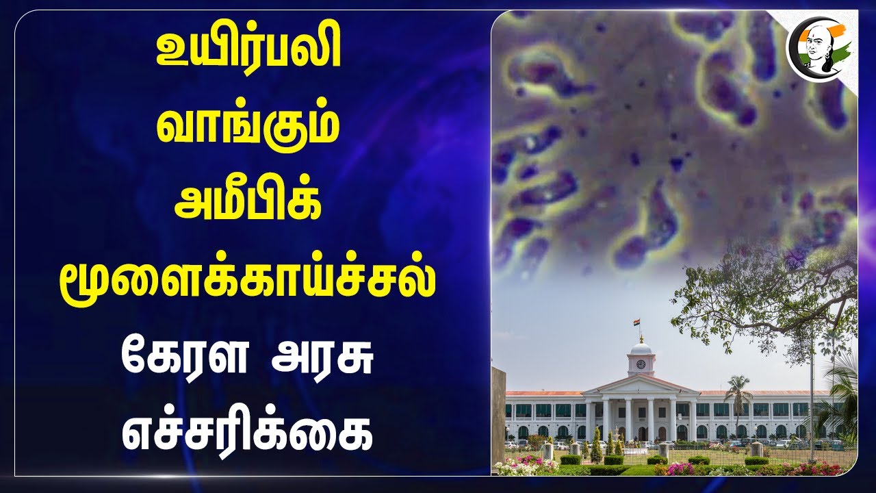 உயிர்பலி வாங்கும் அமீபிக் மூளைக்காய்ச்சல்! Kerala Government எச்சரிக்கை | amebic brain fever