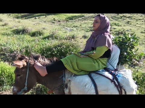 donkey ride , a nomadic woman, at the request of channel subscribers. Free at the same time 🤗😍🏕