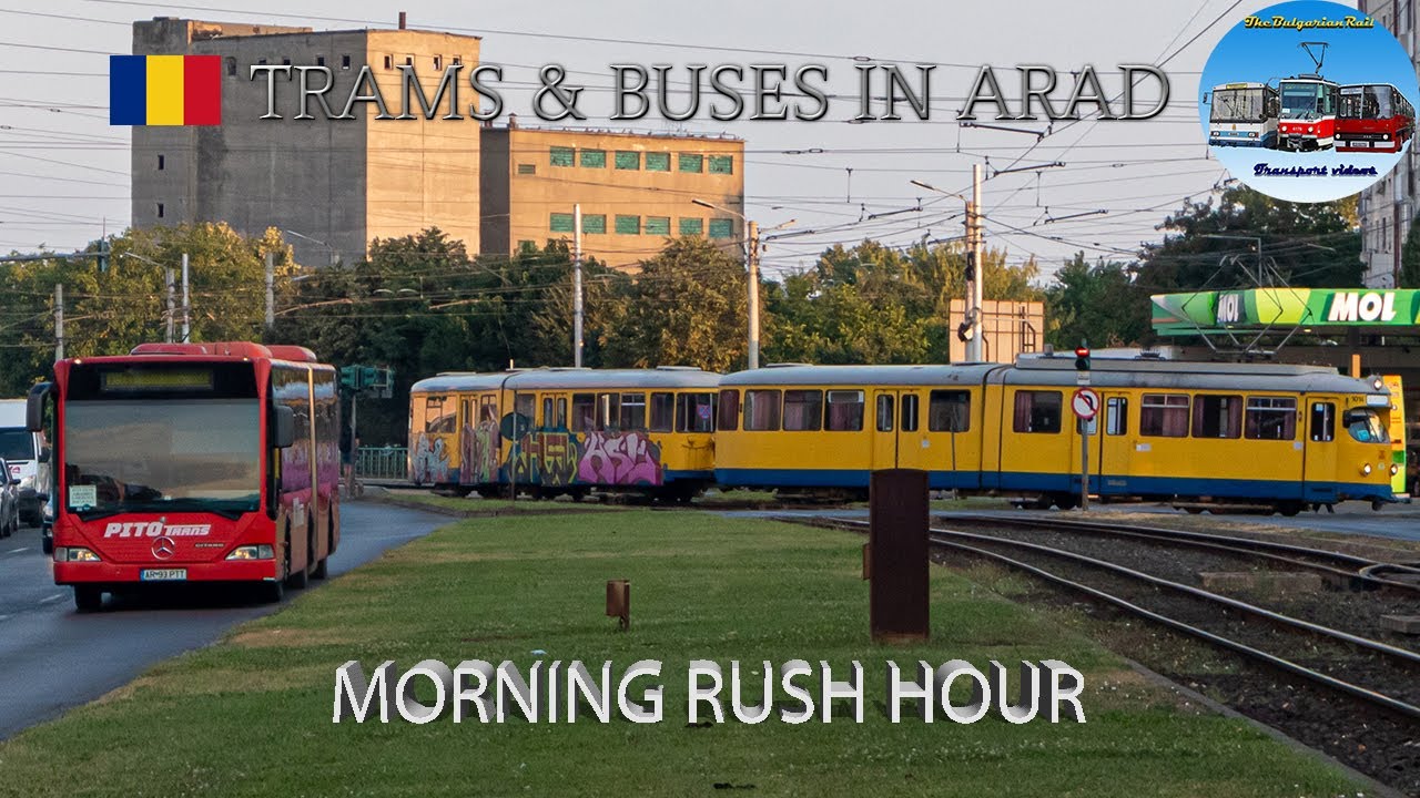 Trams & Buses in Arad 🇷🇴 | Morning Rush Hour🚋🚌