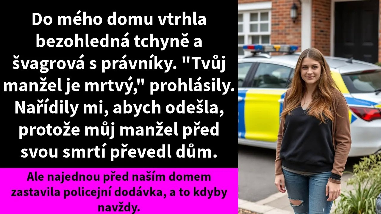 Do mého domu vtrhla bezohledná tchyně (MIL) a švagrová (SIL) s právníky. 