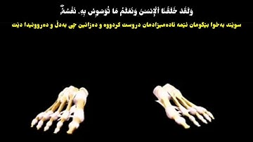 محمد کامل هاشم _ سورة ق Qaf الآية 16-22