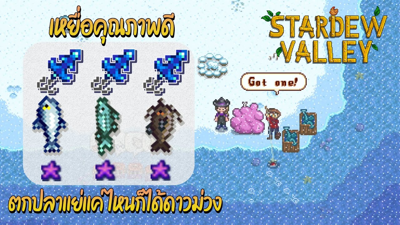 stardew valley เบ็ดตกปลา  New  Stardew Valley 1.5 เหยื่อคุณภาพดี ตกปลาแย่แต่ก็ได้ดาวม่วง (Quality Bobber) - Juicy Bugs Wanted #EP35