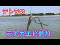 テトラのテナガエビ釣り の動画、YouTube動画。