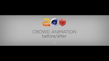 Crowd Animation before/after
