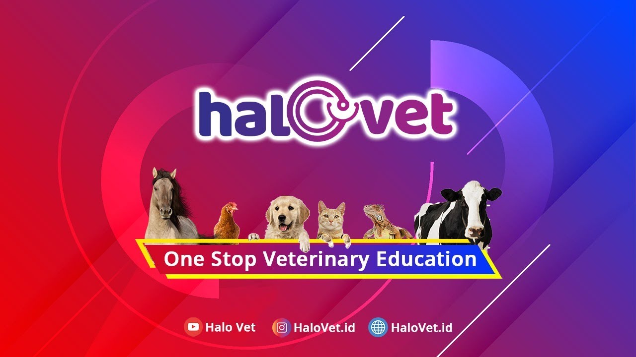 Sekilas HaloVet