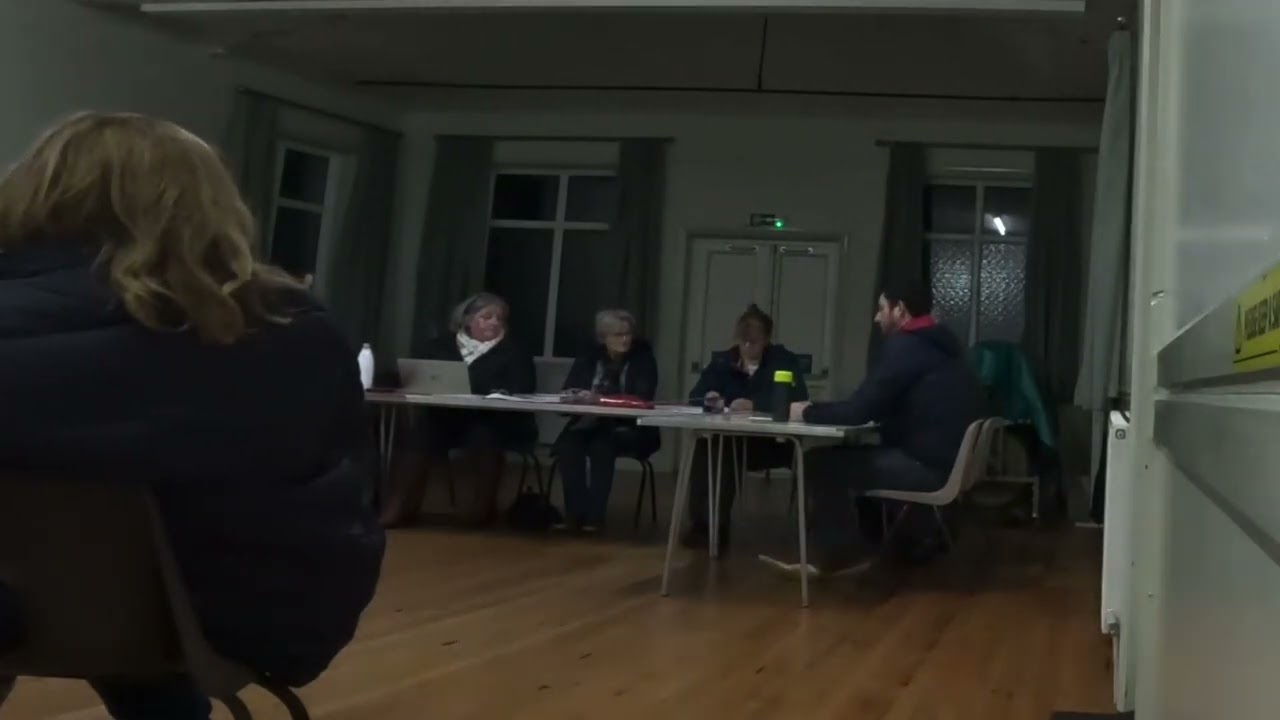 Selection of new councillor