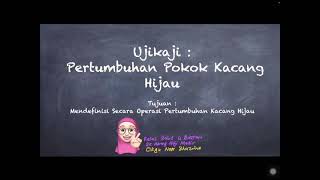 Sains Tahun 4 Ujikaji Kacang Hijau Kps Mendefinisi Secara Operasi Youtube