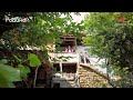 Георги Илиевски Майко една си на света Георги Илиевски Майко една си на света