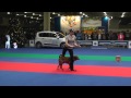 Танцы с собаками. Чемпионат РКФ - 2014.