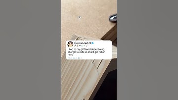 I lied to my girlfriend about being allergic to cats so she