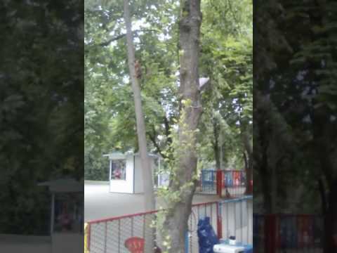 Парк Горького. Минск