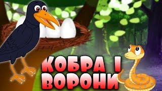 Кобра і ворони | Казки на ніч для дітей | Казки українською мовою