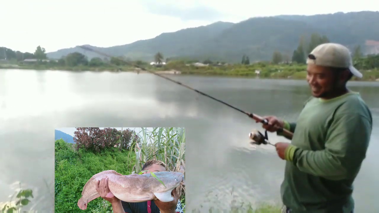 MANCING DAPAT IKAN LELE RAKSASA